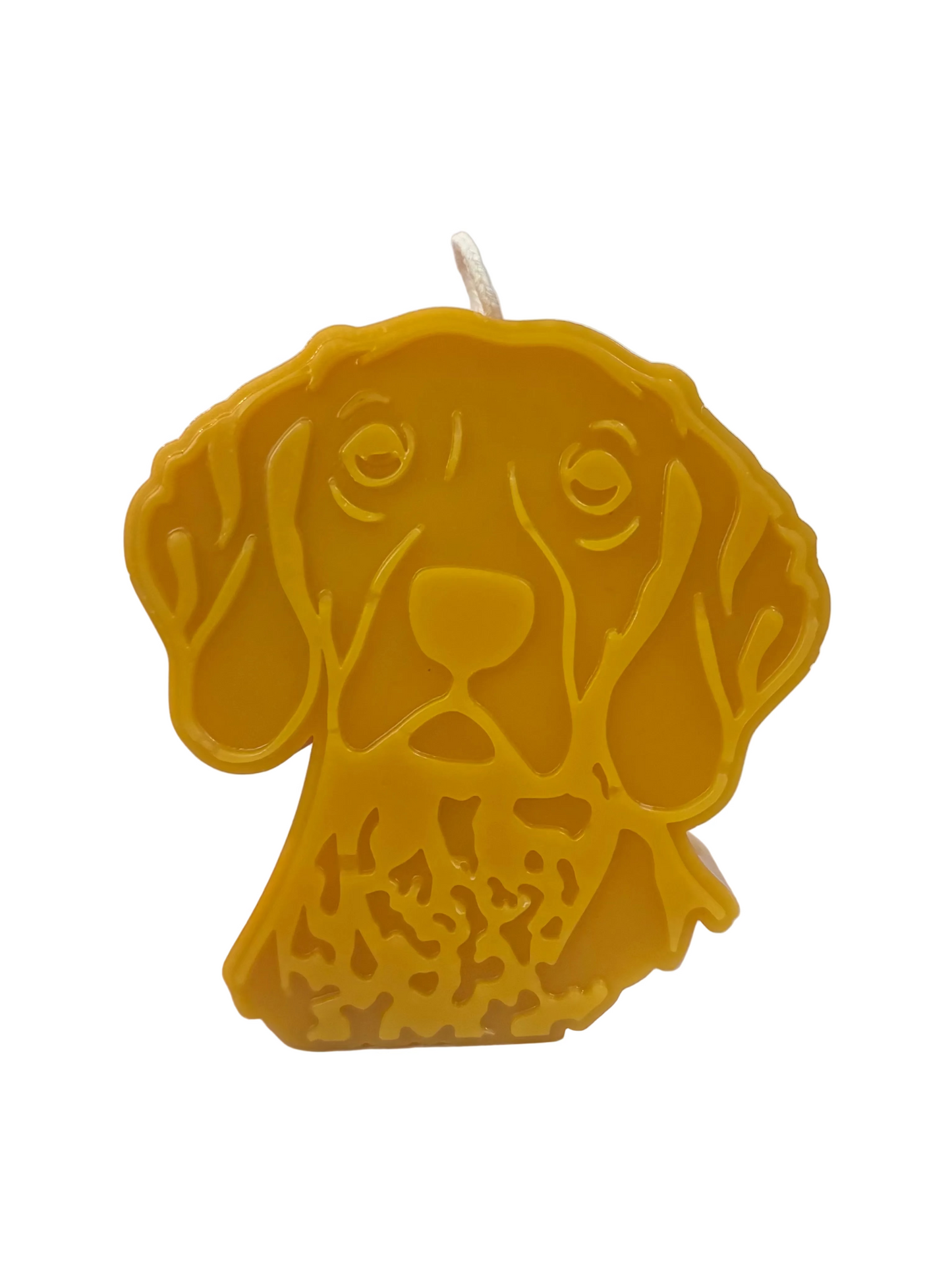 Dog-shaped candle on a white background